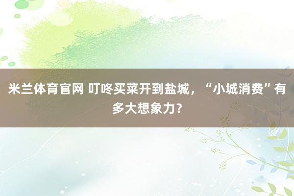 米兰体育官网 叮咚买菜开到盐城，“小城消费”有多大想象力？