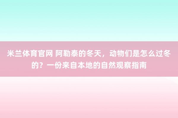 米兰体育官网 阿勒泰的冬天，动物们是怎么过冬的？一份来自本地的自然观察指南