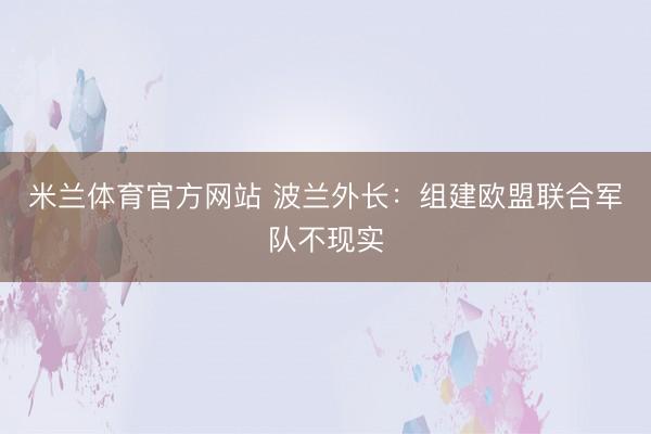 米兰体育官方网站 波兰外长：组建欧盟联合军队不现实