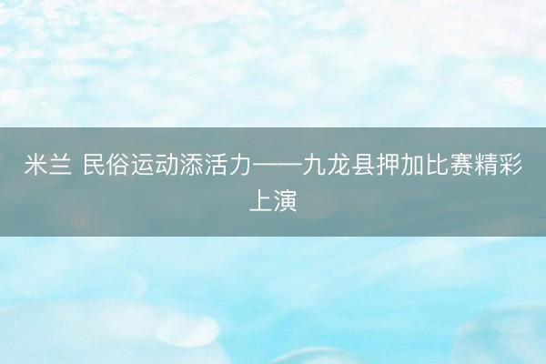 米兰 民俗运动添活力——九龙县押加比赛精彩上演