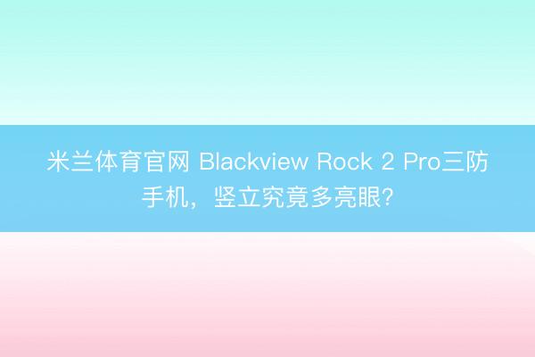 米兰体育官网 Blackview Rock 2 Pro三防手机，竖立究竟多亮眼？