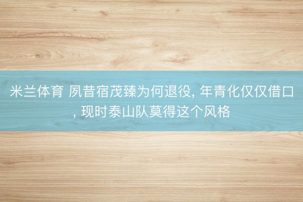 米兰体育 夙昔宿茂臻为何退役， 年青化仅仅借口， 现时泰山队莫得这个风格