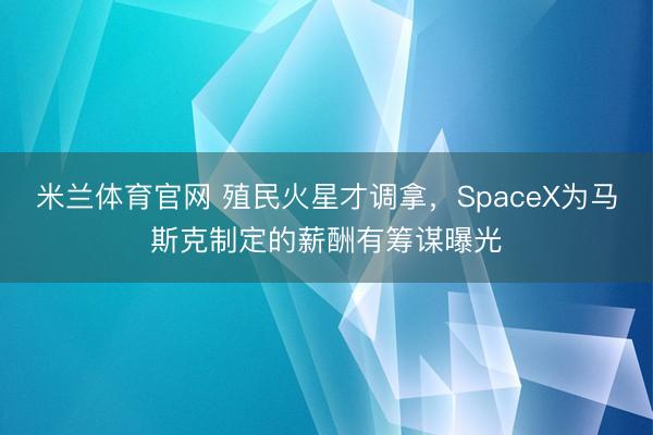 米兰体育官网 殖民火星才调拿，SpaceX为马斯克制定的薪酬有筹谋曝光