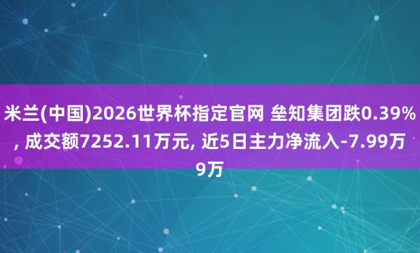 米兰(中国)2026世界杯指定官网 垒知集团跌0.39%, 成交额7252.11万元, 近5日主力净流入-7.99万