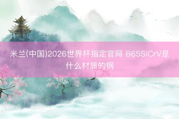 米兰(中国)2026世界杯指定官网 B65SiCrV是什么材质的钢