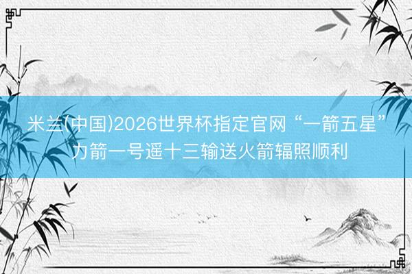米兰(中国)2026世界杯指定官网 “一箭五星” 力箭一号遥十三输送火箭辐照顺利