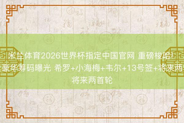 米兰体育2026世界杯指定中国官网 重磅梭哈! 热火豪华筹码曝光 希罗+小海梅+韦尔+13号签+将来两首轮