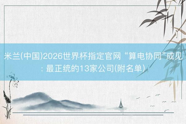 米兰(中国)2026世界杯指定官网 “算电协同”成见: 最正统的13家公司(附名单)