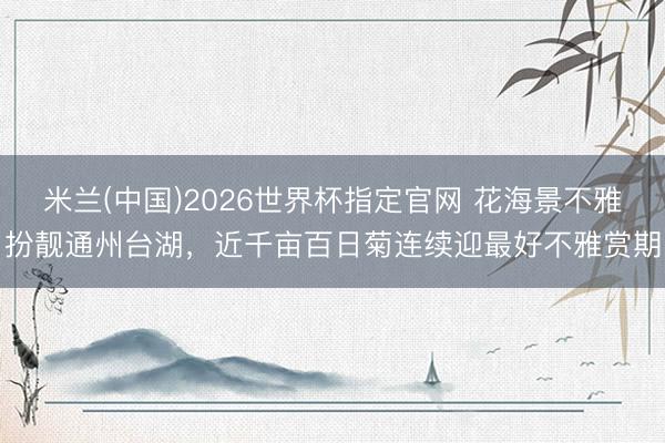 米兰(中国)2026世界杯指定官网 花海景不雅扮靓通州台湖,近千亩百日菊连续迎最好不雅赏期