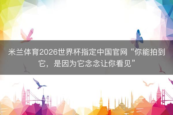 米兰体育2026世界杯指定中国官网 “你能拍到它,是因为它念念让你看见”